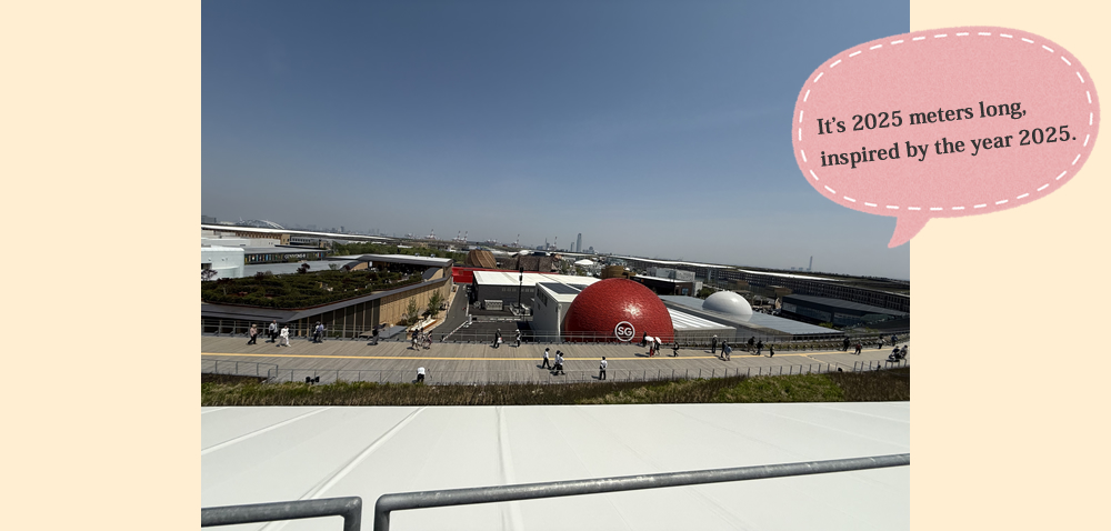 It’s 2025 meters long,inspired by the year 2025.