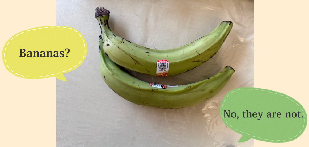 Bananas?　No, they are not.