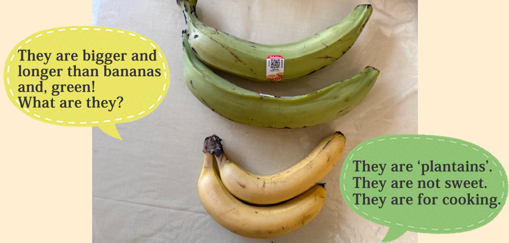 They are bigger and longer than bananas and, green! What are they?   They are ‘plantains’ They are not sweet. They are for cooking.