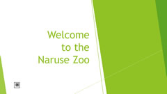 Welcome to Naruse Zoo