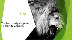 Welcome to Naruse Zoo