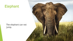 Welcome to Naruse Zoo