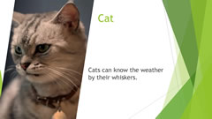 Welcome to Naruse Zoo