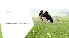 Welcome to Naruse Zoo