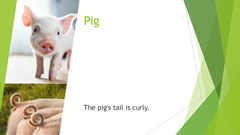 Welcome to Naruse Zoo