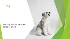 Welcome to Naruse Zoo