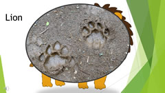 Welcome to Naruse Zoo