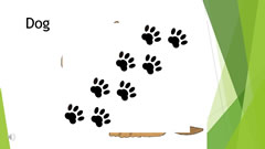 Welcome to Naruse Zoo