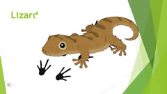 Welcome to Naruse Zoo