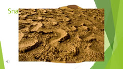 Welcome to Naruse Zoo